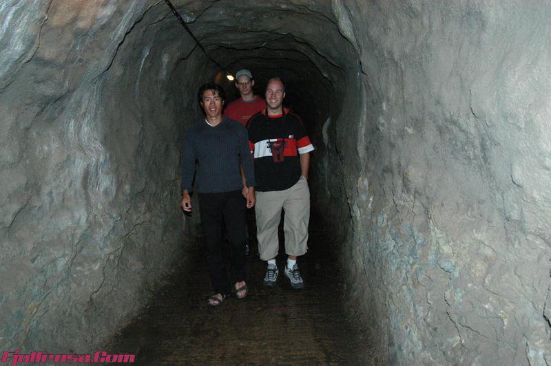 DSC 0744