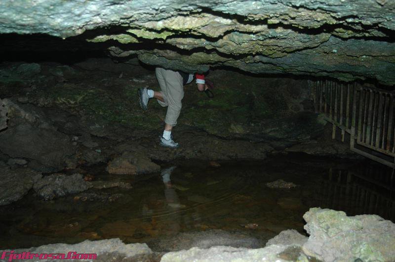DSC 0750