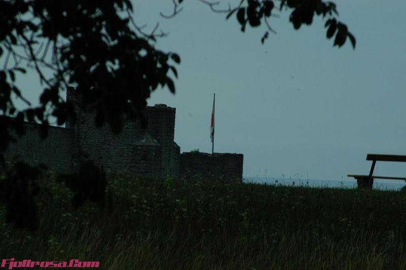 DSC 0782