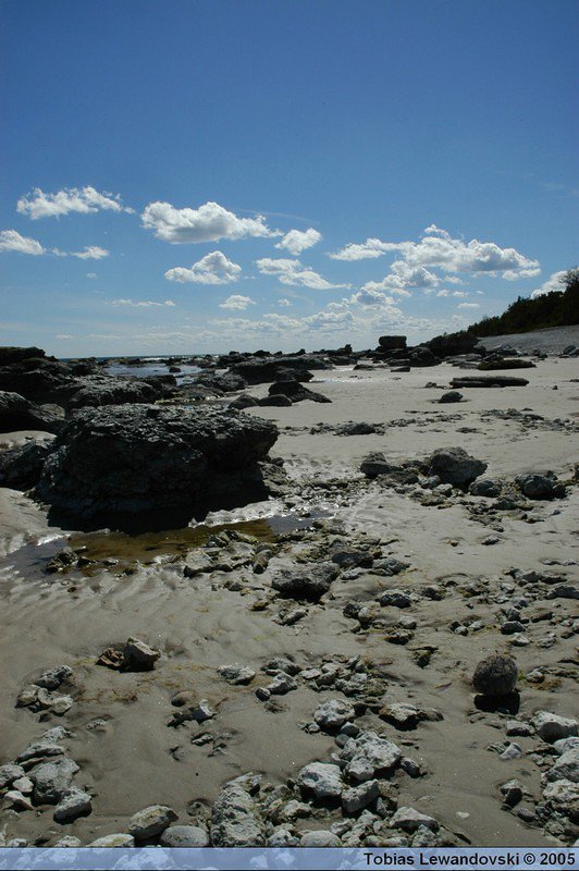 DSC 4441