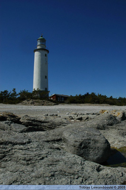 DSC 4458