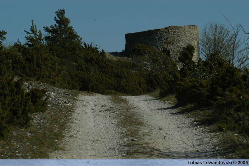 DSC 4502