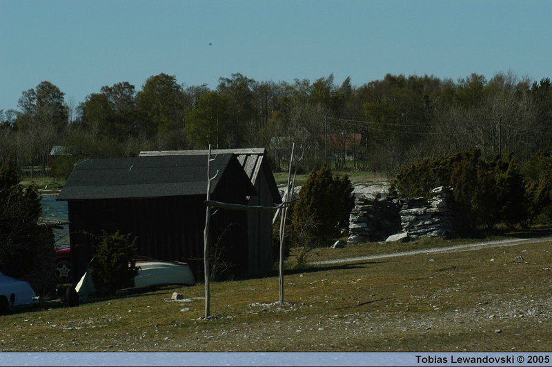 DSC 4504