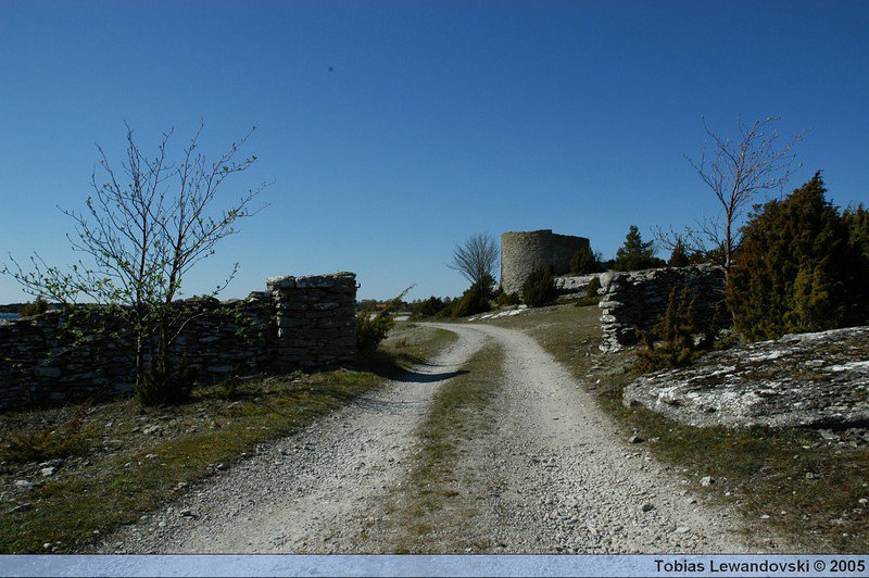 DSC 4518