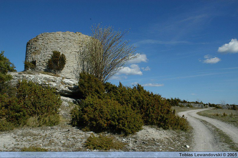 DSC 4538