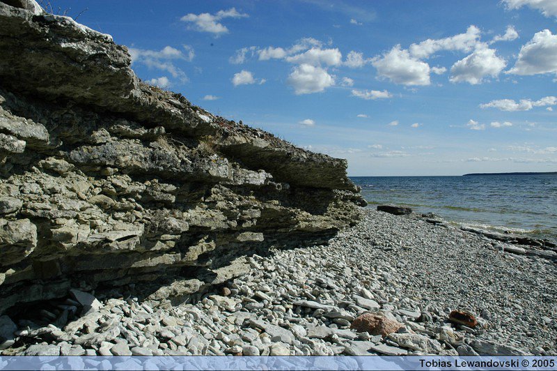 DSC 4548