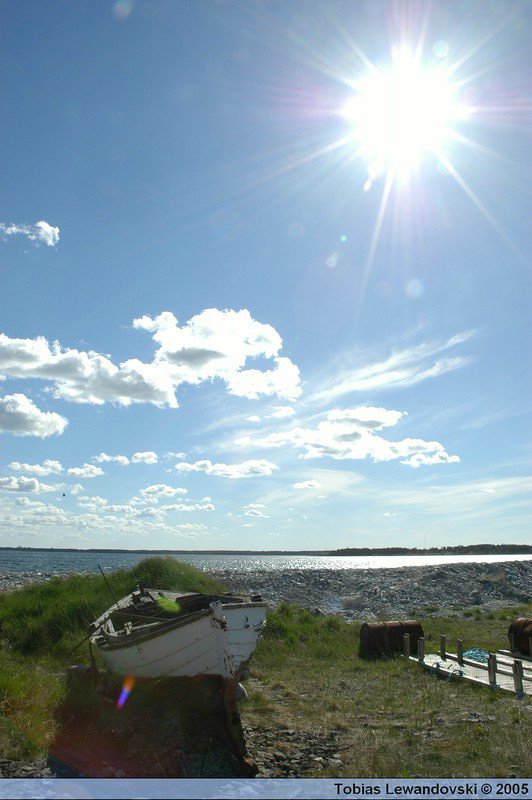 DSC 4564