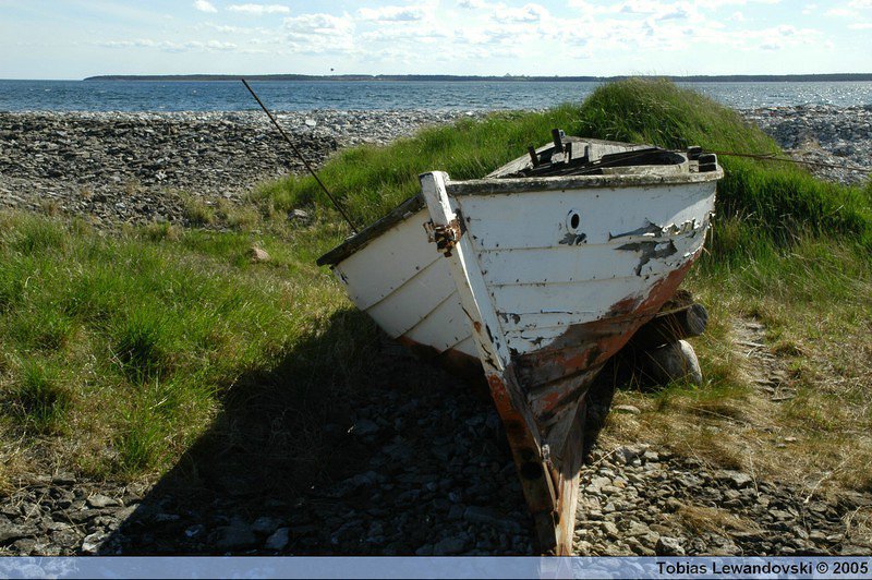 DSC 4577