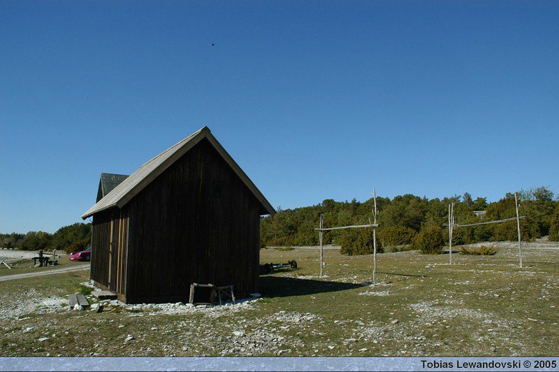 DSC 4578