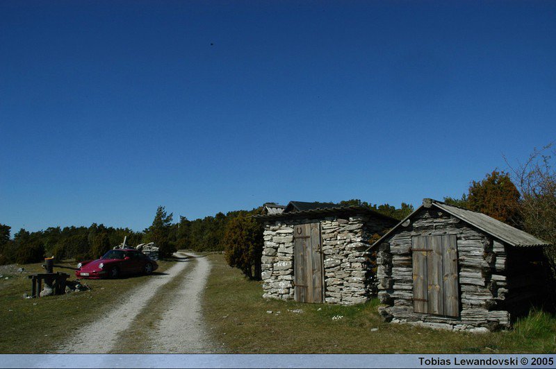 DSC 4581