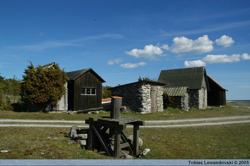 DSC 4605