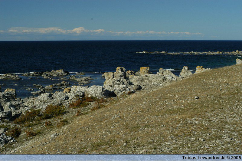 DSC 4706