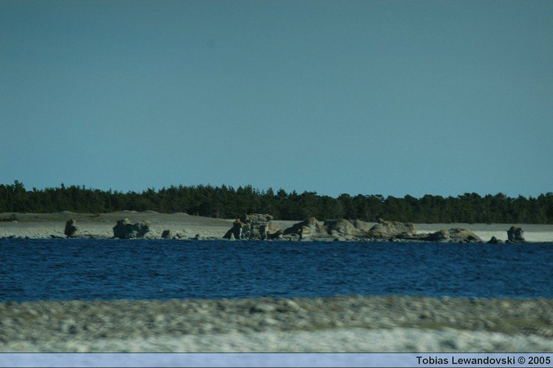 DSC 4731