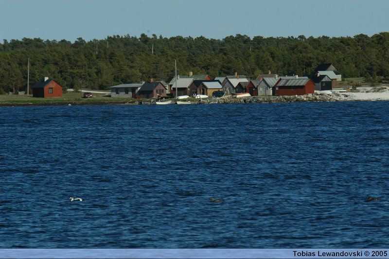 DSC 4743
