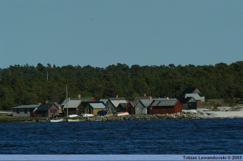 DSC 4744