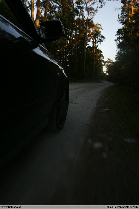 _MG_6395.JPG