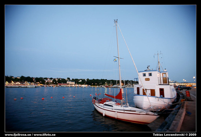 _MG_4246.jpg
