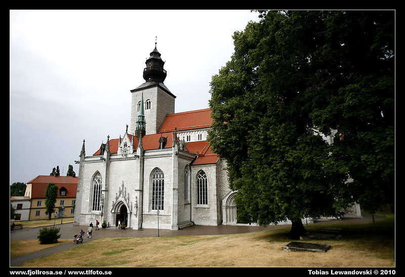_MG_0337.jpg