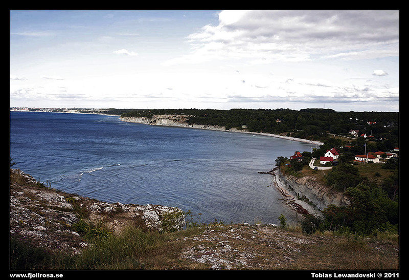 _MG_3858.jpg
