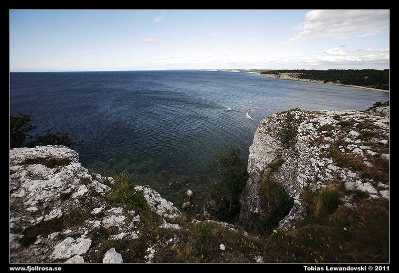 _MG_3860.jpg