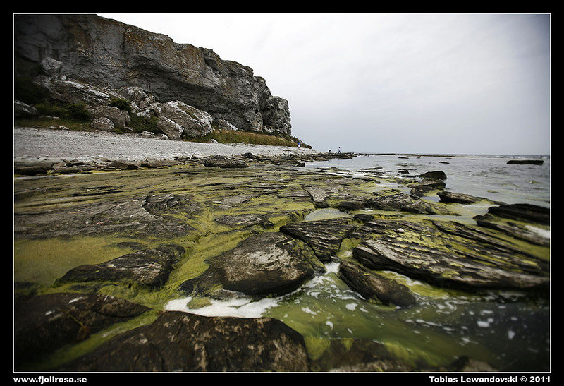 _MG_3338.jpg