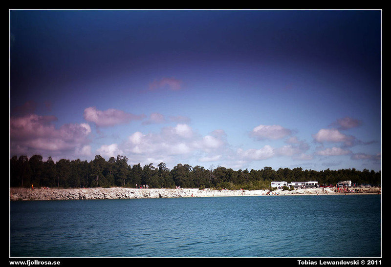 _MG_3416.jpg
