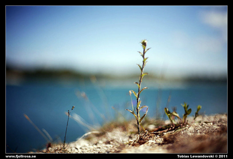 _MG_3441.jpg
