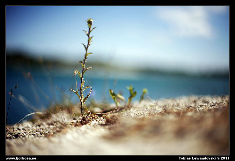 _MG_3442.jpg