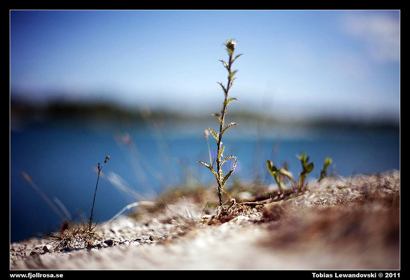_MG_3443.jpg