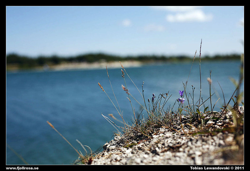 _MG_3444.jpg