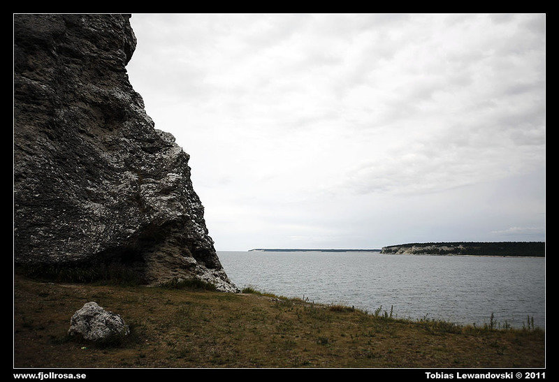 _MG_3630.jpg