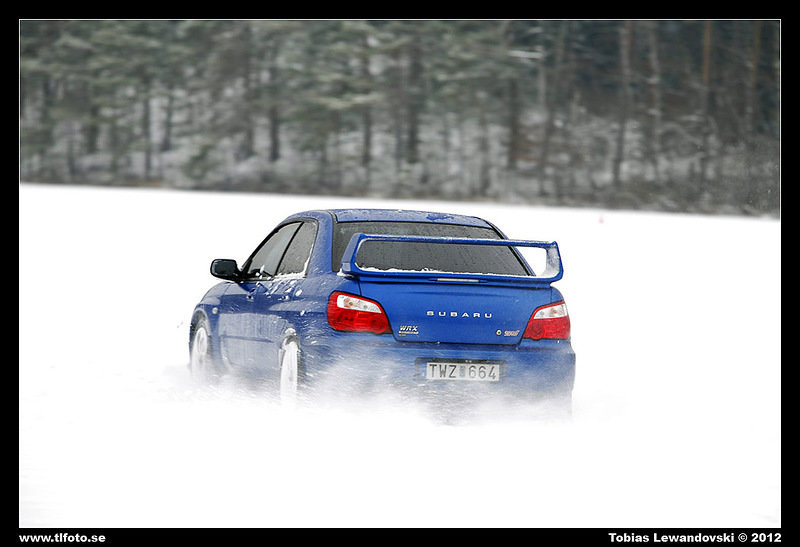 _MG_6560.jpg