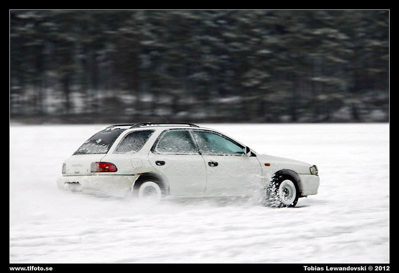 _MG_6608.jpg