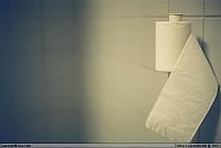 2005.08.29 Toilet paper